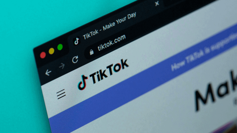 musicians and TikTok ban